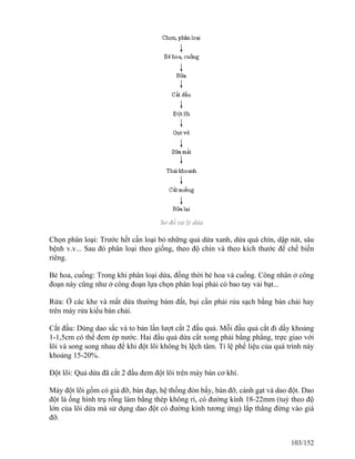 Sơ đồ xử lý dứa
Chọn phân loại: Trước hết cần loại bỏ những quả dứa xanh, dứa quá chín, dập nát, sâu
bệnh v.v... Sau đó phân loại theo giống, theo độ chín và theo kích thước để chế biến
riêng.
Bẻ hoa, cuống: Trong khi phân loại dứa, đồng thời bẻ hoa và cuống. Công nhân ở công
đoạn này cũng như ở công đoạn lựa chọn phân loại phải có bao tay vải bạt...
Rửa: Ở các khe và mắt dứa thường bám đất, bụi cần phải rửa sạch bằng bàn chải hay
trên máy rửa kiểu bàn chải.
Cắt đầu: Dùng dao sắc và to bản lần lượt cắt 2 đầu quả. Mỗi đầu quả cắt đi dầy khoảng
1-1,5cm có thể đem ép nước. Hai đầu quả dứa cắt xong phải bằng phẳng, trực giao với
lõi và song song nhau để khi đột lõi không bị lệch tâm. Tỉ lệ phế liệu của quá trình này
khoảng 15-20%.
Đột lõi: Quả dứa đã cắt 2 đầu đem đột lõi trên máy bán cơ khí.
Máy đột lõi gồm có giá đỡ, bàn đạp, hệ thống đòn bẩy, bàn đỡ, cánh gạt và dao đột. Dao
đột là ống hình trụ rỗng làm bằng thép không rỉ, có đường kính 18-22mm (tuỳ theo độ
lớn của lõi dứa mà sử dụng dao đột có đường kính tương ứng) lắp thẳng đứng vào giá
đỡ.
103/152
 