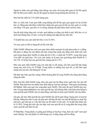 Người ta chần cam quít bằng cách nhúng vào nước sôi trong thời gian từ 20-30s (quít)
đến 56-60s (cam sành). Sau đó để nguội tự nhiên trong không khí chờ bóc vỏ.
Hao hụt khi chần là 2-3% khối lượng quả.
Bóc vỏ, tách múi: Cam quít chần xong không nên để lâu quá, quả nguội trở lại sẽ khó
bóc vỏ. Dùng dao nhỏ khía 4 rãnh theo chiều dọc quả cam rồi lấy tay bóc sạch vỏ và lớp
cùi trắng. Với quít, quả nhỏ và vỏ mỏng, không cần phải khía trước mà bóc luôn.
Sau đó tách riêng từng múi và tước sạch những xơ trắng còn dính ở múi. Khi bóc vỏ và
tách múi không làm vỡ múi, và loại bỏ những múi dập nát hay khô sần.
Tỉ lệ phế liệu của cam sành khi bóc vỏ là 33-36%.
Vỏ cam, quít có thể sử dụng để cất lấy tinh dầu.
Chần NaOH: Màng bọc múi cam quít chứa nhiều naringin là một glucoside có vị đắng.
Để giảm vị đắng của sản phẩm cần làm mỏng lớp màng này bằng cách chần múi cam
quít trong dung dịch NaOH có nồng độ 0,8-1,0%, ở nhiệt độ 75-80o
C, trong thời gian
3-4s (đối với quít) hay 7-8s (với cam sành), tỷ lệ múi cam quít/dung dịch NaOH là 1/
20-1/30. Tỉ lệ hao hụt của quít khi bóc màng múi là 3-5%.
Múi cam quít chần NaOH xong còn một lớp vỏ rất mỏng, nếu làm sạch hết lớp màng
mỏng này múi sẽ bị vỡ. Ở Nhật, Trung Quốc có những loại quít tốt, có thể làm sạch
màng múi mà múi vẫn không bị vỡ nát.
Để đảm bảo hiệu quả bóc màng, thỉnh thoảng phải bổ sung NaOH cho dung dịch đúng
nồng độ chần.
Rửa: Sau khi chần NaOH xong, đưa cam quít rửa lại bằng nước sạch luân lưu cho hết
NaOH. Rửa luân lưu còn nhằm mục đích tiếp tục hoà tan naringin. Thời gian rửa khoảng
60-90phút. Múi cam quít rửa xong phải sạch NaOH. Thử mức độ sạch NaOH như sau:
nhỏ vài giọt phenolphtalein vào cam quít đã rửa, nếu không thấy xuất hiện màu hồng là
cam quít đã sạch NaOH, nếu có màu hồng xuất hiện là chưa sạch NaOH, cần rửa thêm.
Cắt gân, lấy hạt: Múi quít đã rửa sạch NaOH cần cắt bỏ gân trắng ở bụng múi và loại bỏ
hết hạt. Dùng kéo nhỏ và sắc cắt gân múi, rồi bóp rất nhẹ vào múi để bật hạt ra, hoặc lấy
mũi kéo, gợi nhẹ hạt ra. Cần làm nhẹ tay để tránh vỡ nát múi. Tỷ lệ phế liệu khâu này
là 15-20%. Trong khi chờ xếp vào hộp, múi cam quít đã xử lý xong phải thả trong chậu
nước sạch để múi khỏi bị nát.
Ở Nhật Bản, Trung Quốc có giống quít không có hạt hay ít hạt, đem sản xuất “cam quít
nước đường” cho sản phẩm có chất lượng cao và tăng năng suất lao động.
106/152
 