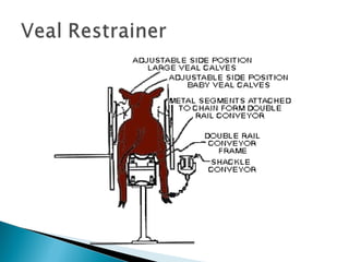 Measures of welfare on-farm and during transport to the abattoir
% of lame animals
% of thin animals
% of dirty animals
% of animals with sores, bruises or lesions
% that die before slaughter
% morbidity (illness or injury)
% of birds with broken wings and legs
 