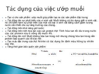  + Tạo vị cho sản phẩm: ướp muối góp phần tạo ra các sản phẩm đặc trưng
 + Tác động lên sự phát triển của vi sinh vật: Muối không có tác dụng giết vi sinh vật;
nó chỉ kiềm hãm sự phát triển của một vài loại vi sinh vật bằng cách giảm lượng
nước cần thiết cho sự tăng trưởng của chúng.
 + Tác động trên khả năng giữ nước:
 + Tác động trên tính hòa tan của các protein thịt: Tính hòa tan tối đa trong nước
của các protein này ở nồng độ muối 4%.
 + Tác động lên mỡ: Muối không hòa tan trong mỡ nhưng chúng hòa tan trong nền
protein bao quanh các tế bào mỡ.
 + Tạo màu đặc trưng của thịt: Nitrite có tác dụng ổn định màu hồng tự nhiên
của thịt.
 + Tăng thời gian bảo quản sản phẩm:
 