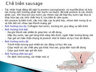  Tác nhân hoạt động bề mặt là protein (sacroplasmic và myofibrillar) sẽ hòa
tan trong môi trường phân tán (nước và muối). Bề mặt protein là các nhóm
phân cực. Khi hòa tan vào nước các nhóm này dẽ hấp thụ nước tạo lớp vỏ
thủy hóa tạo các tính chất hóa lí, lưu biến & cảm quan.
 Khi protein bị biến tính, cấu trúc bậc cao bị phá hủy, nhóm bên trong lộ ra
và liên kết với nhau tạo thành mạng gel
 Ảnh hưởng của da: Collagen hút nước, trương nở, gia tăng sự kết dính
 Ảnh hưởng tinh bột:
◦ Hạ giá thành sản phẩm & giúp bóc vỏ dễ dàng
◦ Hấp thụ nước, tạo gel tăng khả năng kết dính, ngăn hiện tượng đọng mỡ
◦ Tạo gel với bản thân chúng & protein nhờ lk hidro và lực Van de Walls.
 Ảnh hưởng nước đá
◦ Tránh hiện tượng quá nhiệt do tác động cơ học khi xay
◦ Giúp muối và các chất phụ gia khác hòa tan, giúp dồn ruột dễ dàng
◦ Giúp quá trình tạo gel tốt hơn
 Ảnh hưởng chất tạo gel
◦ Ổn định nhũ tương, cải thiện mùi vị
 
