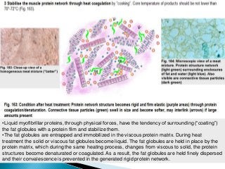 •Liquid myofibrillar proteins, through physical forces, have the tendency of surrounding (―coating‖)
the fat globules with a protein film and stabilize them.
•The fat globules are entrapped and immobilized in the viscous protein matrix. During heat
treatment the solid or viscous fat globules become liquid. The fat globules are held in place by the
protein matrix, which during the same heating process, changes from viscous to solid, the protein
structures become denaturated or coagulated.As a result, the fat globules are held finely dispersed
and their convalescence is prevented in the generated rigid protein network.
 