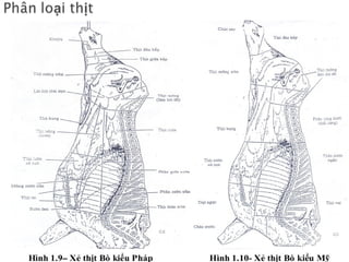 Tiếp nhận
Tắm
Lùa vào thang máy
Vào chuồng
Phòng đợi
Gây mê
Máng để chân sau
lên đường ray
Thọc huyết
Heo
Bò
Bồn trụng
Máy cạo
Cắt đầu
Máng để lên
đường ray
Cạo bằng tay
Cắt đầu,
chân trước
Lột da
Mổ bụng
Tách lòng / Thắt thực quản
Cắt cơ quan
sinh dục
Tách nội tạng
 