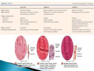 Tiêu chuẩn Thịt tươi Thịt ôi
Trạng thái bên ngoài
Chỗ vết cắt
Độ rắn, độ đàn hồi
Tủy
Nước canh đun sôiđể
lắng
Phản ứng giấy quỳ
pH nước thịt
Phản ứng Ebe
Phản ứng H2S
Phản ứng NH3
Màng ngoàikhô.Mỡ có màu sắc,độ rắn
tốt, mùi vị bình thường.Gân trong,độ
đàn hồi tốt. Mặt khớp láng và trong. Dịch
hoạttrong.
Màu sắc bình thường sángvà khô
Rắn chắc,độ đàn hồi cao,ngón tay ấn
vào tạo dấu vết xong trở lại bình thường
khi nhắc ngón tay ra
Tủy thịt tươi bám chặtvào thành ống
tủy, đàn hồi, trong
Nước canh trong,mùi vị thơm ngon,trên
mặt có vết mỡ to
Acid
5.4 – 6.4
Âm tính hoặc
Âm tính
8 mg/100g - 18 mg/100g
Màng ngoàinhớt.Mỡ tố màu, độ rắn
kém,vị ôi. Gân kém trong,độ đàn hồi
kém.Mặt khớp có nhiều nhớt.Dịch
hoạtđục
Màu sắc tối hơn, hơi ướt
Thịt kém tươi, ngón tay ấn vào tạo
dấu vết không trở lại bình thường
được khi nhắc ngón tay ra
Tủy thịt róc raa khỏithành ống tủy,
mùi ôi, màu sắc tối hơn
Nước canh đục,bẩn,mùi vị ôi, hầu
như không còn váng mỡ
Kềm
6.5 trở lên
Dương tính
Dương tính
Thịt kém tươi: 20 mg/100g- 45
mg/100g
Thịt ôi: >45 mg/100g
 