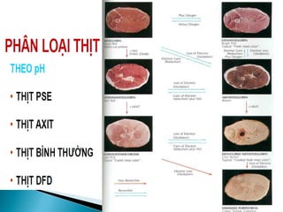 Pig meat
Cow meatCow meat
 