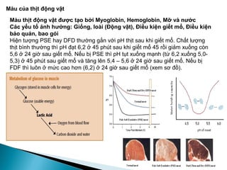 Thịt trong giai đoạn này có độ rắn tăng hoảng 25%, độ cản cắt tăng lên hai lần và có
độ rắn lớn kể cả sau khi nấu.
Giai đoạn này bất lợi cho quá trình chế biến, thịt có tính giữ nước kém, khả năng kết
nối của protein ở giai đoạn này là kém nhất.
+ Phân hủy glycogen để tạo thành acid lactic (glyco phân) và chuyển pH từ
điểm trung hòa về phía acid. (xảy ra trong môi trường yếm khí)
+ Phân hủy glycogen để tạo thành các gluxit có tính khử (amilo phân).
+ Phân hủy axit creatinphotphat.
+ Phân hủy acid adenozintriphotphoric (ATP).
+ Kết hợp actin với myozin để thành phức chất actomyozin.
+ Giải phóng amoniac ở dạng muối.
Giai đoạn tê cứng sau khi chết
 