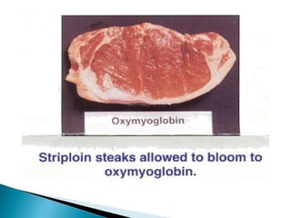  Rigor mortis
◦ Starts at 3 to 4 hrs after death
◦ Peaks at 12 hours
◦ Dissipates over next 48 to 60
hrs
 Calcium no longer pumped
out
◦ Myosin stays stuck to actin
◦ ATP runs out shortly after
person stops breathing
◦ No ATP means myosin heads
can’t detach
◦ Rigor mortis disappears as
muscle proteins break down
◦ Related to liver mortis
 