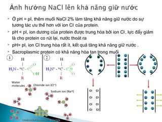 A band
H
zone
M
line
Contracted sarcomere
I band
Thick
filaments
Thin
filaments
Z line
Cross sectional
Thick
Filaments
at M line
Thick and thin
filaments
Longitudinal
Z lineZ line
Z line
I band I band
I band
Relaxed sarcomere
fig 16-5,pg 483
Contractile apparatus
 