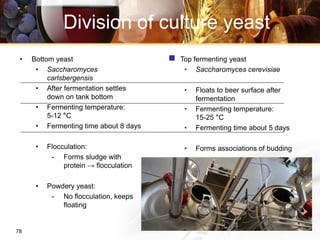 78
• Bottom yeast
• Saccharomyces
carlsbergensis
• After fermentation settles
down on tank bottom
• Fermenting temperature:
5-12 °C
• Fermenting time about 8 days
• Flocculation:
- Forms sludge with
protein → flocculation
• Powdery yeast:
- No flocculation, keeps
floating
Division of culture yeast
 Top fermenting yeast
• Saccharomyces cerevisiae
• Floats to beer surface after
fermentation
• Fermenting temperature:
15-25 °C
• Fermenting time about 5 days
• Forms associations of budding
 