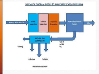 Cng Flow Process Cng ppt | PPTX