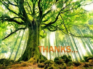 19/03/2014
40
AFE_SEMINAR_2014_CNG
 