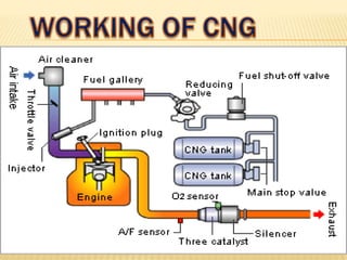 Cng ppt | PPT