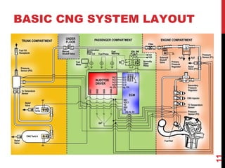 BASIC CNG SYSTEM LAYOUT
11
 