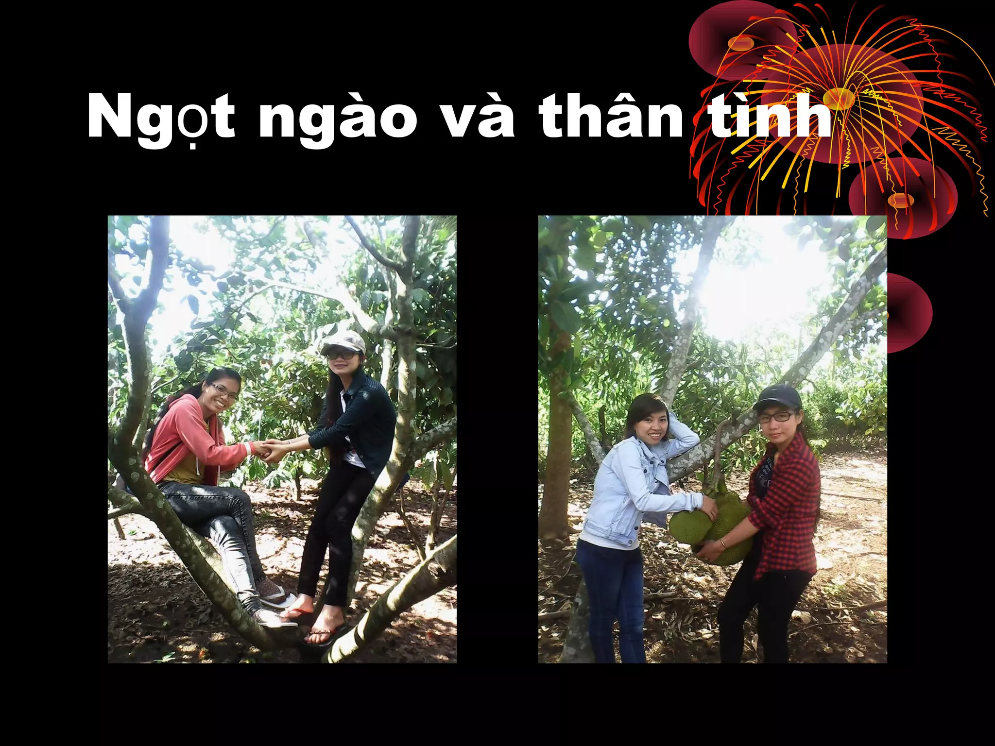 Ng t ngào và thân tìnhọ
 