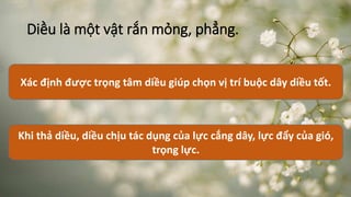 Diều là một vật rắn mỏng, phẳng. 
Xác định được trọng tâm diều giúp chọn vị trí buộc dây diều tốt. 
Khi thả diều, diều chịu tác dụng của lực cắng dây, lực đẩy của gió, 
trọng lực. 
 
