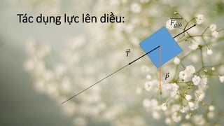 Tác dụng lực lên diều: 
푇 
푃 
퐹푔푖ó 

