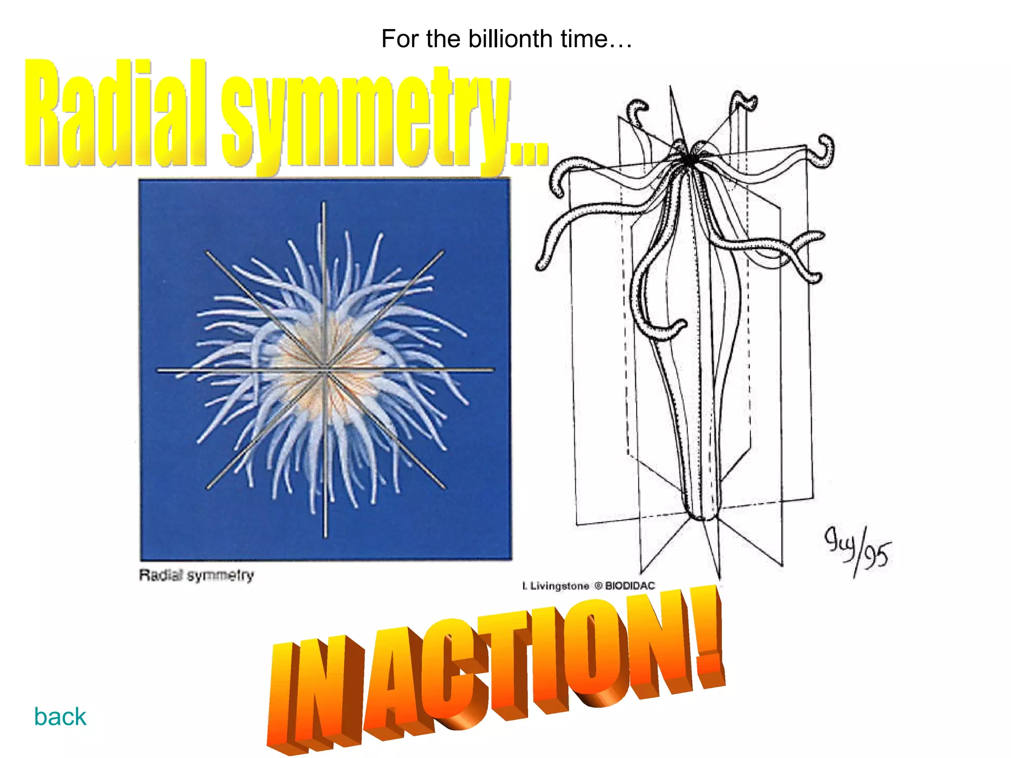 For the billionth time… Radial symmetry... IN ACTION! back