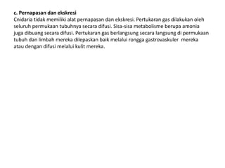 c. Pernapasan dan ekskresi
Cnidaria tidak memiliki alat pernapasan dan ekskresi. Pertukaran gas dilakukan oleh
seluruh permukaan tubuhnya secara difusi. Sisa-sisa metabolisme berupa amonia
juga dibuang secara difusi. Pertukaran gas berlangsung secara langsung di permukaan
tubuh dan limbah mereka dilepaskan baik melalui rongga gastrovaskuler mereka
atau dengan difusi melalui kulit mereka.
 