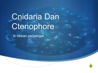 S
Cnidaria Dan
Ctenophore
Si hewan penyengat
 