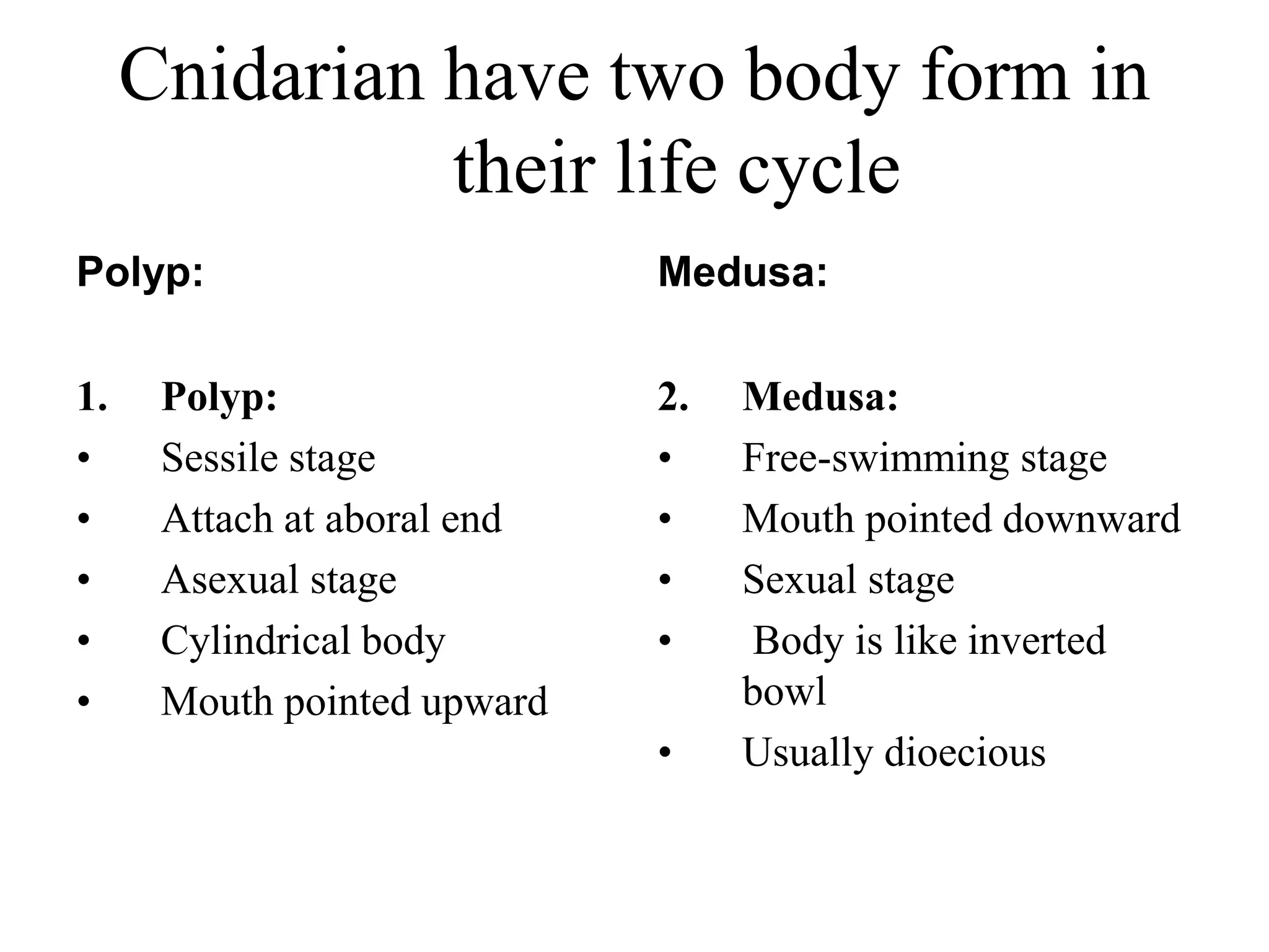 Phylum Cnidaria presentation | PPT