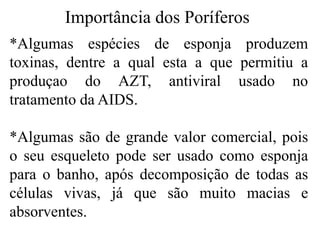 Importância dos Poríferos
*Algumas espécies de esponja produzem
toxinas, dentre a qual esta a que permitiu a
produçao do AZT, antiviral usado no
tratamento da AIDS.
*Algumas são de grande valor comercial, pois
o seu esqueleto pode ser usado como esponja
para o banho, após decomposição de todas as
células vivas, já que são muito macias e
absorventes.
 