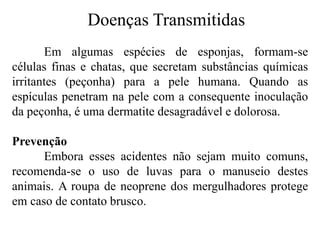 Doenças Transmitidas
Em algumas espécies de esponjas, formam-se
células finas e chatas, que secretam substâncias químicas
irritantes (peçonha) para a pele humana. Quando as
espículas penetram na pele com a consequente inoculação
da peçonha, é uma dermatite desagradável e dolorosa.
Prevenção
Embora esses acidentes não sejam muito comuns,
recomenda-se o uso de luvas para o manuseio destes
animais. A roupa de neoprene dos mergulhadores protege
em caso de contato brusco.
 