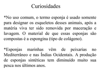 Curiosidades
*No uso comum, o termo esponja é usado somente
para designar os esqueletos desses animais, após a
matéria viva ter sido removida por maceração e
lavagem. O material de que essas esponjas são
compostas é a espongina (tipo de colágeno).
*Esponjas marinhas vêm de peixarias no
Mediterrâneo e nas Índias Ocidentais. A produção
de esponjas sintéticas tem diminuído muito sua
pesca nos últimos anos.
 