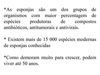 *As esponjas são um dos grupos de
organismos com maior percentagem de
espécies produtoras de compostos
antibióticos, antitumorais e antivirais.
* Existem mais de 15 000 espécies modernas
de esponjas conhecidas
*Como demoram muito para crescer, podem
viver até 50 anos.
 