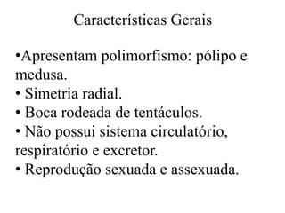 Características Gerais
•Apresentam polimorfismo: pólipo e
medusa.
• Simetria radial.
• Boca rodeada de tentáculos.
• Não possui sistema circulatório,
respiratório e excretor.
• Reprodução sexuada e assexuada.
 
