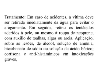 Tratamento: Em caso de acidentes, a vitima deve
ser retirada imediatamente da água para evitar o
afogamento. Em seguida, retirar os tentáculos
aderidos à pele, ou mesmo à roupa de neoprene,
com auxílio de toalhas, algas ou areia. Aplicação,
sobre as lesões, de álcool, solução de amônia,
bicarbonato de sódio ou solução de ácido bórico;
cortisona e anti-histamínicos em intoxicações
graves.
 