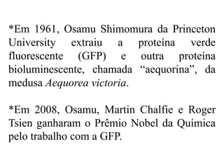 *Em 1961, Osamu Shimomura da Princeton
University extraiu a proteína verde
fluorescente (GFP) e outra proteína
bioluminescente, chamada “aequorina”, da
medusa Aequorea victoria.
*Em 2008, Osamu, Martin Chalfie e Roger
Tsien ganharam o Prêmio Nobel da Química
pelo trabalho com a GFP.
 