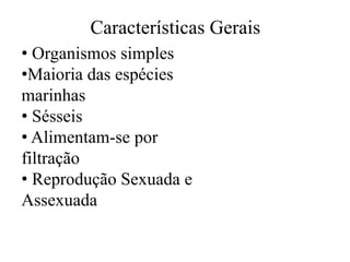 Características Gerais
• Organismos simples
•Maioria das espécies
marinhas
• Sésseis
• Alimentam-se por
filtração
• Reprodução Sexuada e
Assexuada
 