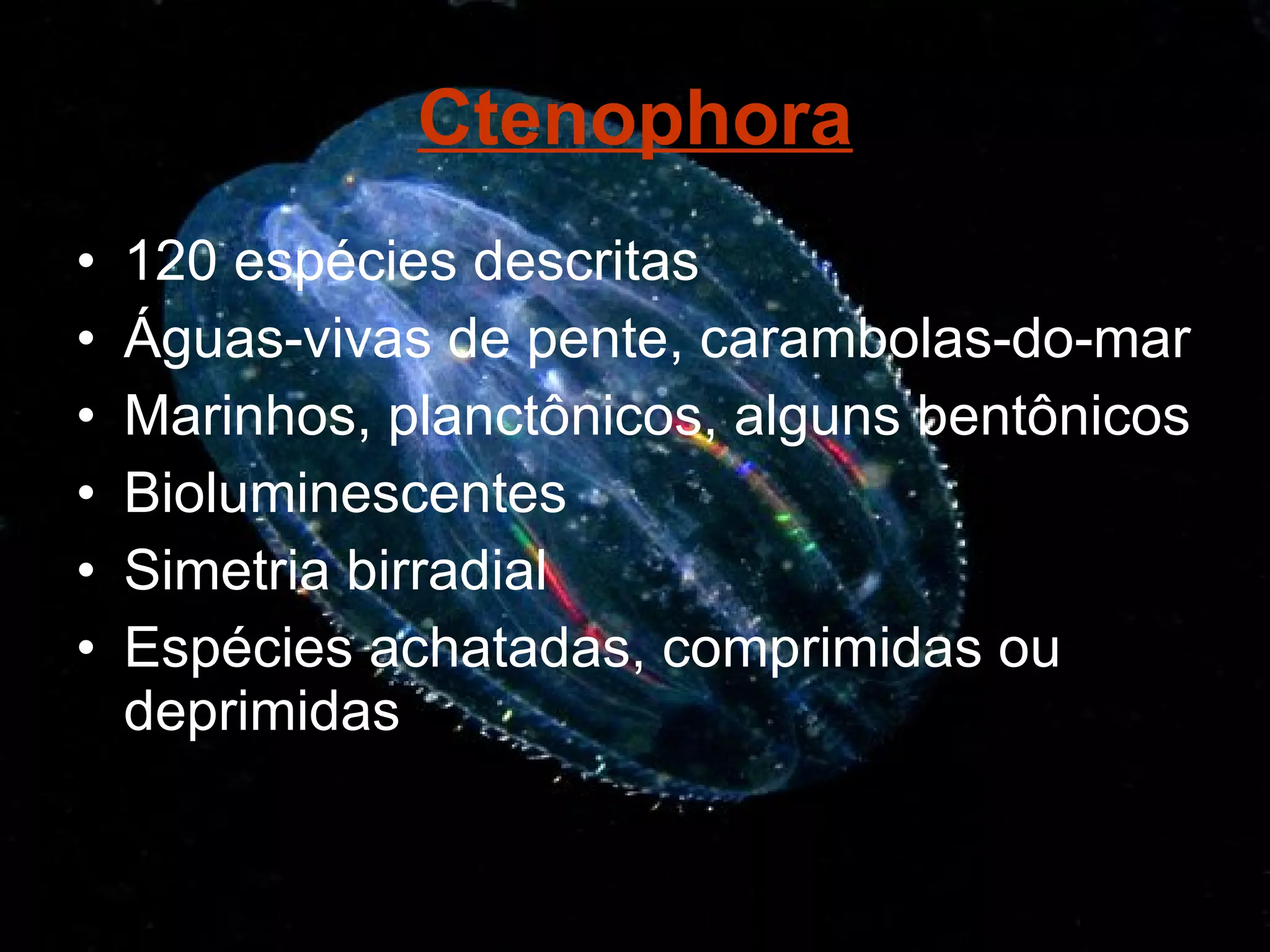 Cnidaria & Ctenophora | PPT