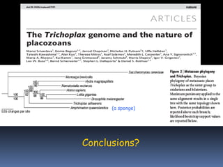 Conclusions?
(a sponge)
 