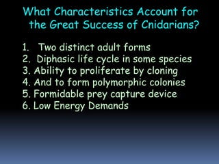 What Characteristics Account for
the Great Success of Cnidarians?
1. Two distinct adult forms
2. Diphasic life cycle in some species
3. Ability to proliferate by cloning
4. And to form polymorphic colonies
5. Formidable prey capture device
6. Low Energy Demands
 
