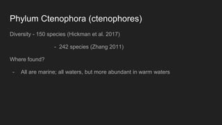 Phylum Ctenophora (ctenophores)
Diversity - 150 species (Hickman et al. 2017)
- 242 species (Zhang 2011)
Where found?
- All are marine; all waters, but more abundant in warm waters
 