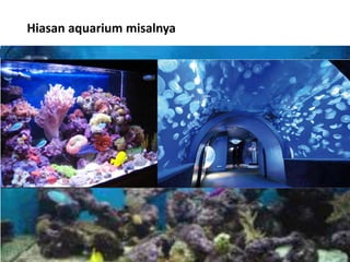 Hiasan aquarium misalnya
 