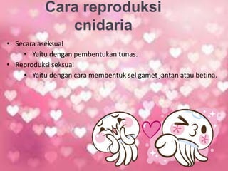 Cara reproduksi
cnidaria
• Secara aseksual
• Yaitu dengan pembentukan tunas.
• Reproduksi seksual
• Yaitu dengan cara membentuk sel gamet jantan atau betina.
 