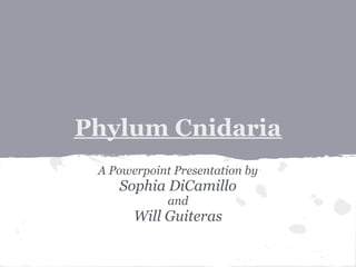Phylum Cnidaria
 A Powerpoint Presentation by
    Sophia DiCamillo
             and
       Will Guiteras
 
