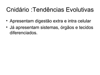 Cnidário :Tendências Evolutivas
• Apresentam digestão extra e intra celular
• Já apresentam sistemas, órgãos e tecidos
  diferenciados.
 
