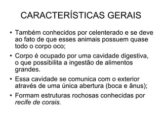 CARACTERÍSTICAS GERAIS Também conhecidos por celenterado e se deve ao fato de que esses animais possuem quase todo o corpo oco; Corpo é ocupado por uma cavidade digestiva, o que possibilita a ingestão de alimentos grandes. Essa cavidade se comunica com o exterior através de uma única abertura (boca e ânus); Formam estruturas rochosas conhecidas por  recife de corais. 