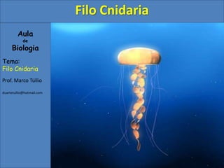Filo Cnidaria
         Aula
            de
     Biologia
Tema:
Filo Cnidaria
Prof. Marco Túllio

duartetullio@hotmail.com
 