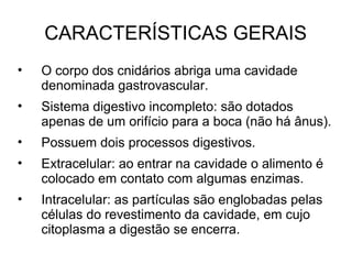 CARACTERÍSTICAS GERAIS
• O corpo dos cnidários abriga uma cavidade
denominada gastrovascular.
• Sistema digestivo incompleto: são dotados
apenas de um orifício para a boca (não há ânus).
• Possuem dois processos digestivos.
• Extracelular: ao entrar na cavidade o alimento é
colocado em contato com algumas enzimas.
• Intracelular: as partículas são englobadas pelas
células do revestimento da cavidade, em cujo
citoplasma a digestão se encerra.
 