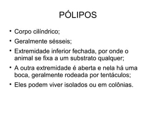 PÓLIPOS

Corpo cilíndrico;

Geralmente sésseis;

Extremidade inferior fechada, por onde o
animal se fixa a um substrato qualquer;

A outra extremidade é aberta e nela há uma
boca, geralmente rodeada por tentáculos;

Eles podem viver isolados ou em colônias.
 