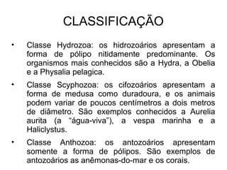 CLASSIFICAÇÃO
• Classe Hydrozoa: os hidrozoários apresentam a
forma de pólipo nitidamente predominante. Os
organismos mais...