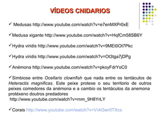 VÍDEOS CNIDARIOSVÍDEOS CNIDARIOS
 Medusas http://www.youtube.com/watch?v=e7enMXPr0xE
Medusa xigante http://www.youtube.com/watch?v=HqfCm58SB6Y
Hydra viridis http://www.youtube.com/watch?v=9MEt0Ot7Pkc
Hydra viridis http://www.youtube.com/watch?v=Ot3tga7jDPg
Anémona http://www.youtube.com/watch?v=pkoyFdrYoC0
Simbiose entre Ocellaris clownfish que nada entre os tentáculos de
Heteractis magnificas. Este peixe protexe o seu territorio de outros
peixes comedores da anémona e a cambio os tentáculos da anemona
protéxeno doutros predadores
http://www.youtube.com/watch?v=rnm_9H8YrLY
Corais http://www.youtube.com/watch?v=VvkGwr0TXcs
 