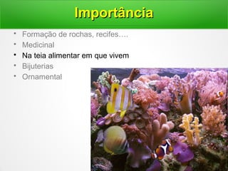 • Formação de rochas, recifes….
• Medicinal
• Na teia alimentar em que vivem
• Bijuterias
• Ornamental
ImportânciaImportância
 