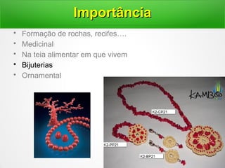 • Formação de rochas, recifes….
• Medicinal
• Na teia alimentar em que vivem
• Bijuterias
• Ornamental
ImportânciaImportância
 