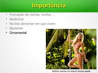 • Formação de rochas, recifes….
• Medicinal
• Na teia alimentar em que vivem
• Bijuterias
• Ornamental
ImportânciaImportância
Mulher usando um biquini laranja coral
 
