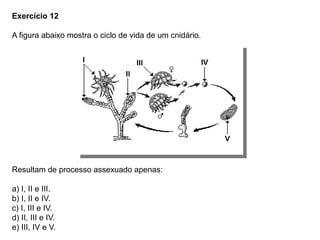 Exercício 12
A figura abaixo mostra o ciclo de vida de um cnidário.
Resultam de processo assexuado apenas:
a) I, II e III.
b) I, II e IV.
c) I, III e IV.
d) II, III e IV.
e) III, IV e V.
 